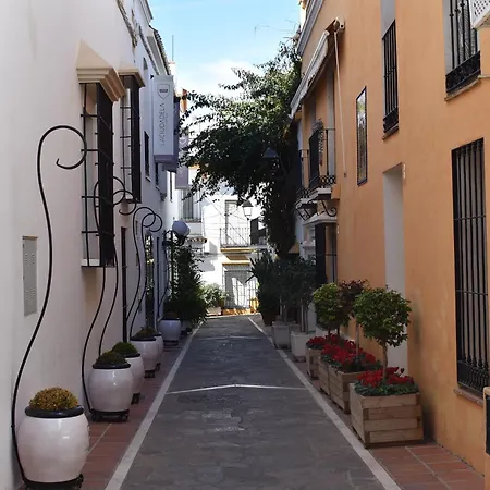 Seaview Penthouse Reserva De Marbella